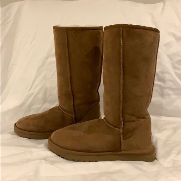 UGG Shoes - Tall ugg boots